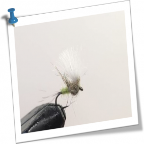 FLYMPF