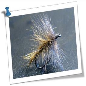 Les moucheurs nantais - Montage gitane lièvre