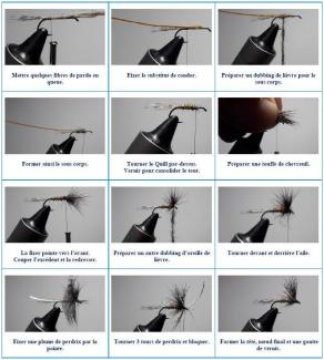 Images montages Compara march brown