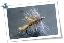 Les moucheurs nantais - Montage gitane lièvre