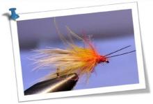 sedge